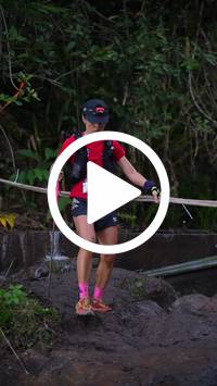 BIB:  <button type="button" onclick="openModal(27706209)" class="btn btn-primary btn-sm float-right" data-toggle="modal" data-target=".modal-high-quality">
                <i class="fa fa-download"></i> Download
                </button>